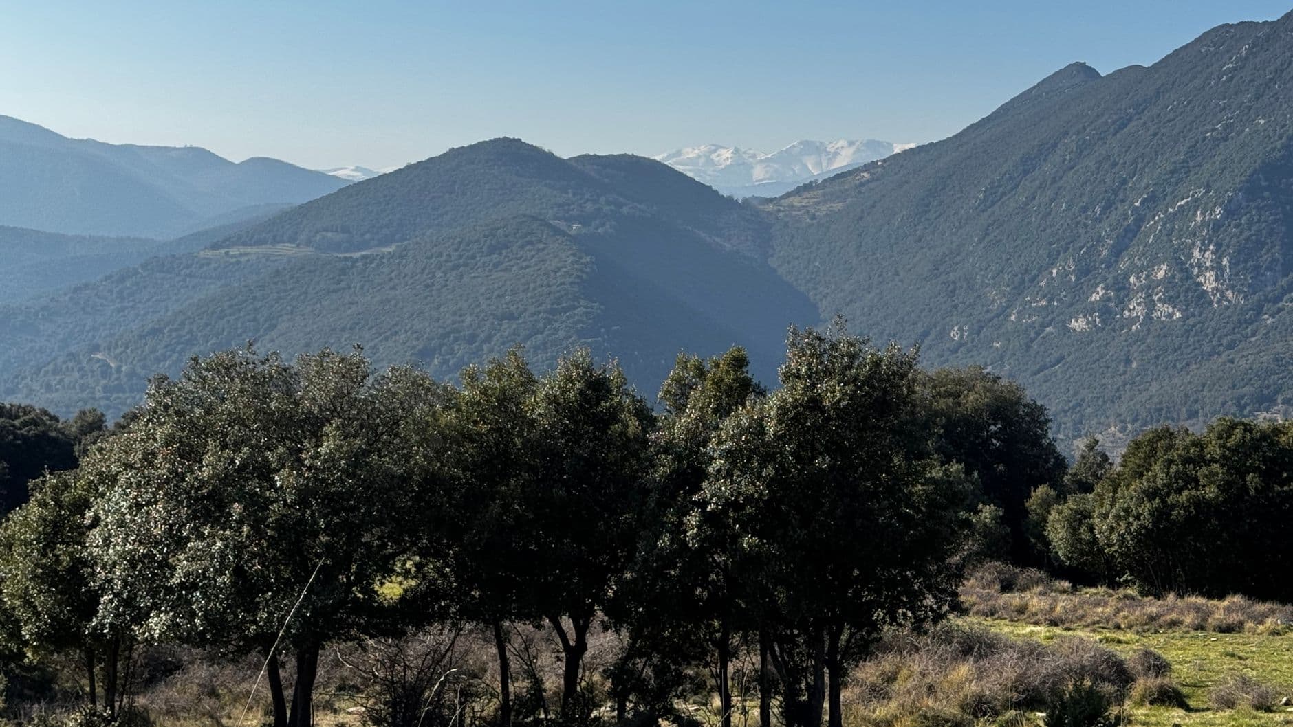 Fiesta patronal: Fiestas de San Victorián y Santa Águeda en Berbegal 2026