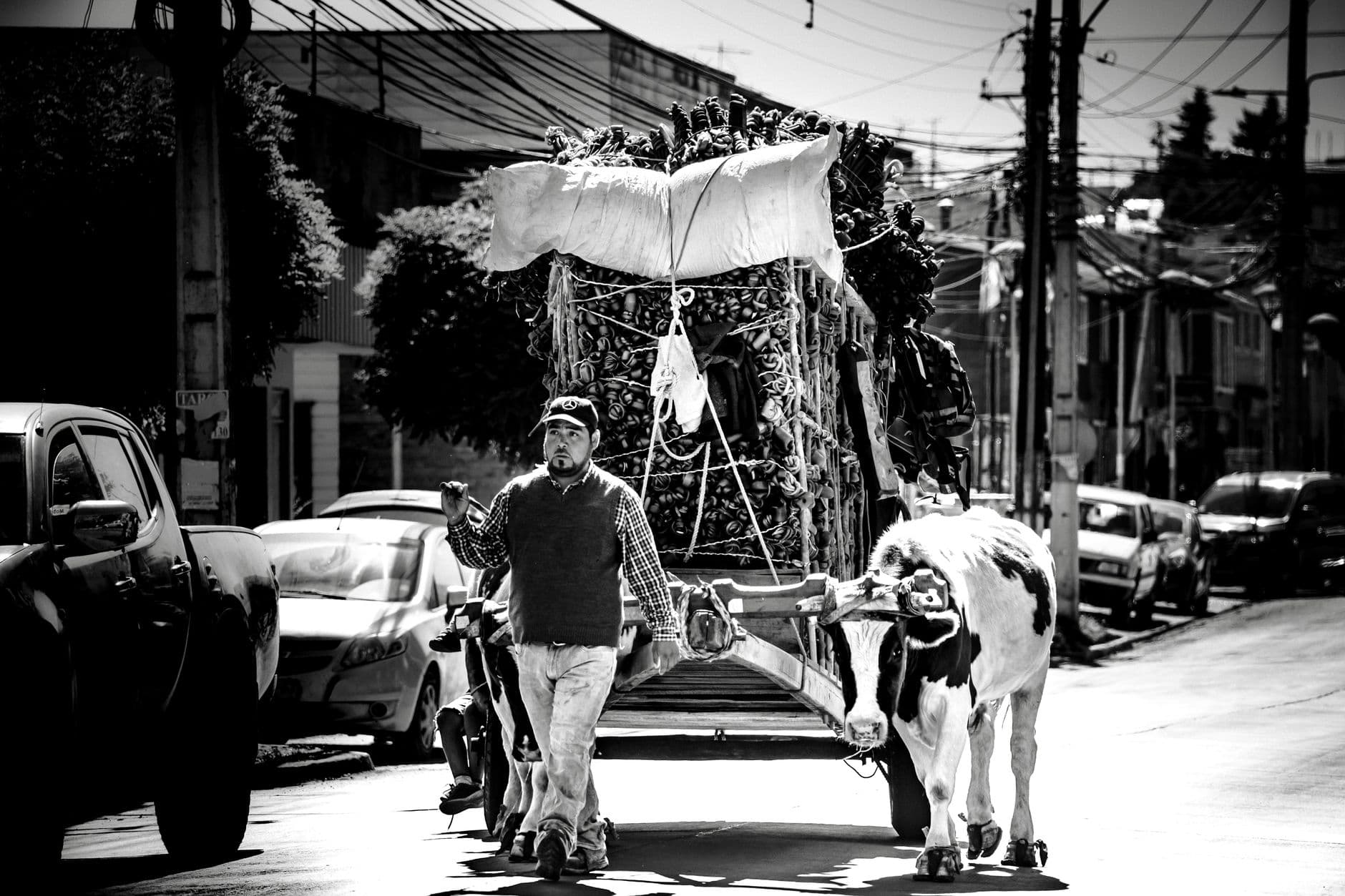 Fiesta patronal: Romería Regional de San Benito Abad de La Laguna 2026 en San Cristóbal de La Laguna